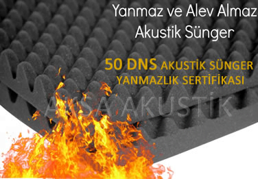 Yanmaz Sünger Sertifikası - 50 DNS