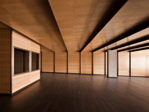 akustik tavan panelleri