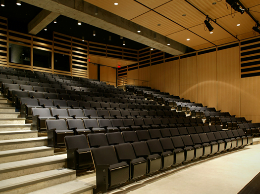 akustik duvar tavan ahşap paneller