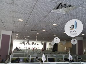 akustik basotect melamin labirent sünger