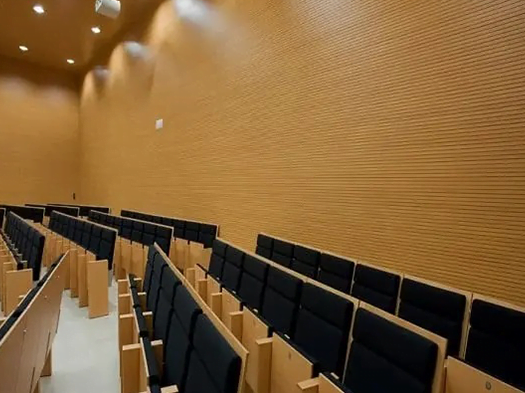 akustik ahşap derzli panel 