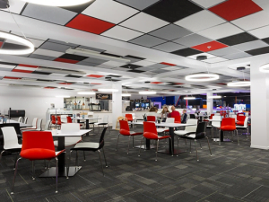 akustik tavan panelleri