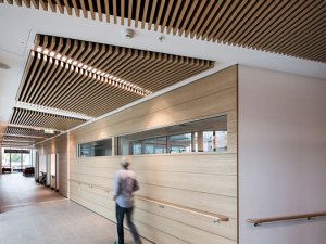 akustik tavan panelleri