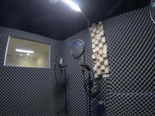 akustik yanmaz yumurta sünger