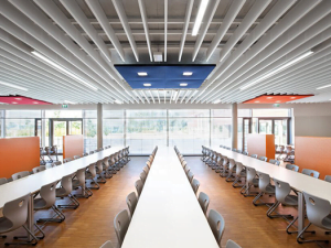 baffle paneli uygulama