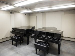 müzik odası ses yalıtımı