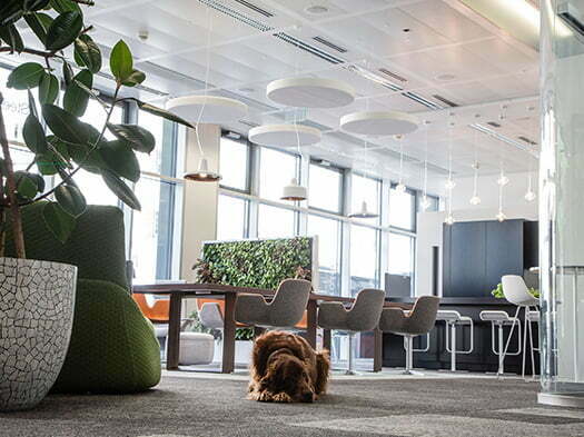 ofis odası ses izolasyonu 