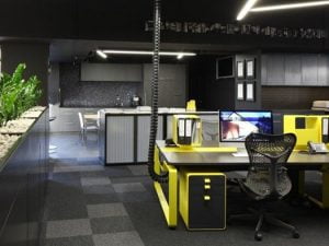 pvc tabanlı akustik halı m2 fiyatları