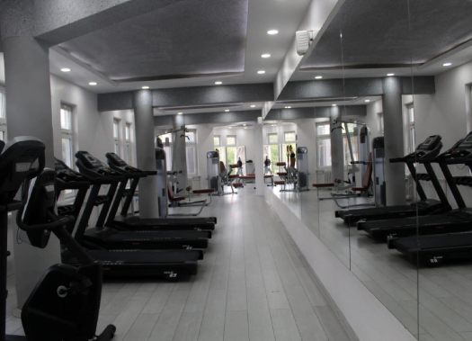 spor salonu ses yalıtımı